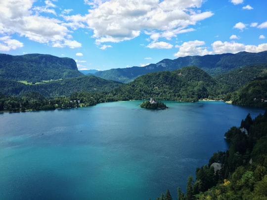 turquoise and azur body of water surrounded by mountain range and forest under white clouds and blue sky at daytime in Straza hill above Lake Bled Slovenia