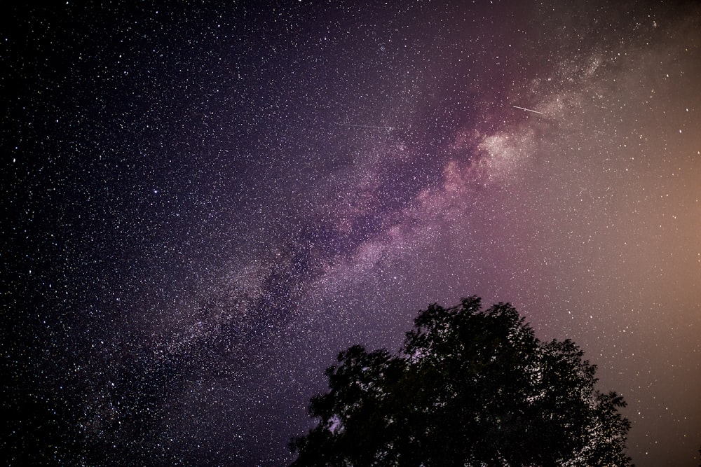 photographie en contre-plongée de la galaxie de la Voie lactée la nuit