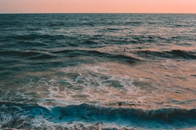 group of people swimming on sea