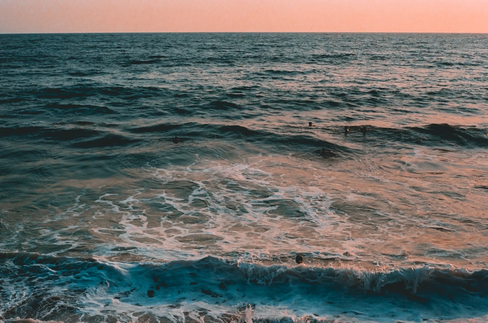 Gruppe von Menschen, die auf dem Meer schwimmen