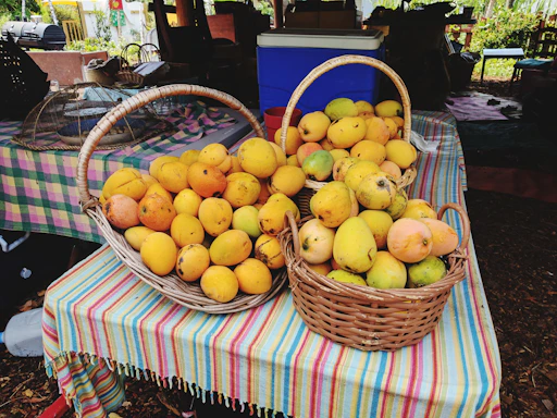 Fresh mangoes on a rustic wooden table with soft sunlight filtering through orchard leaves.