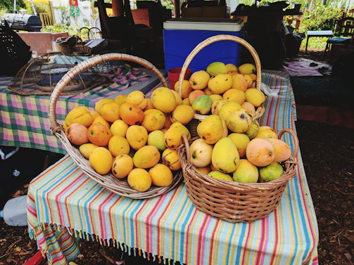 A vibrant basket filled with ripe Sindhri and Chaunsa mangoes ready for export.