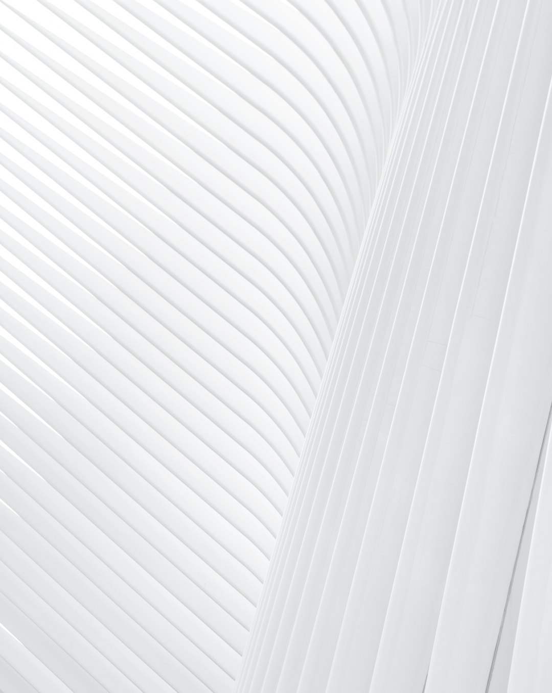 download Thabo Mbeki (Modern World