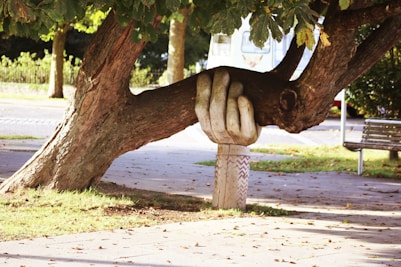 A tree supported by an armlike structure 