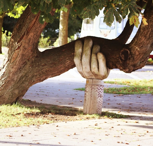 brown tree