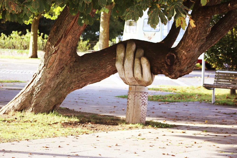 brown tree, helping hand, counseling