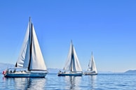 three sail boats on water during daytime