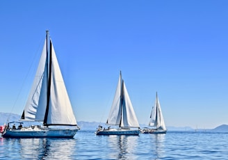 three sail boats on water during daytime