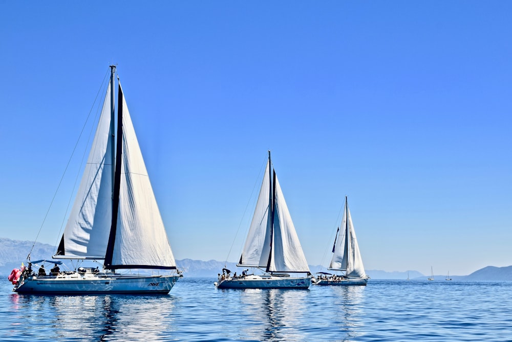 three sail boats on water during daytime