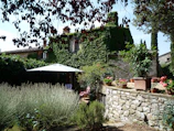 Cozy house with a vibrant garden and sunny patio