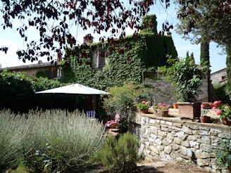 A charming 4-bedroom house with a lush green backyard and a patio set up for outdoor dining.