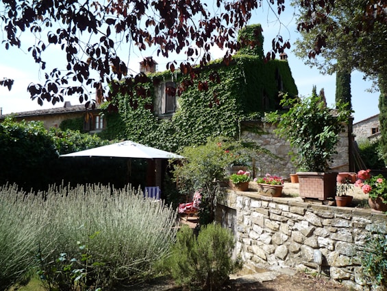 A cozy house with a beautiful garden and patio.