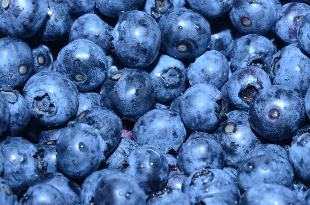 blueberry lot