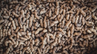A large pile of unshelled peanuts fills the entire frame. The texture of the rough, earthy shells is prominent, with patterns created by the natural grooves and indentations. The peanuts are closely packed together, creating a sense of abundance.