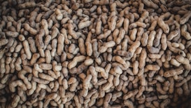A large pile of unshelled peanuts fills the entire frame. The texture of the rough, earthy shells is prominent, with patterns created by the natural grooves and indentations. The peanuts are closely packed together, creating a sense of abundance.