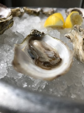 An oyster sits open on a bed of crushed ice, surrounded by other closed oysters. Two lemon wedges add a pop of color among the otherwise muted tones. The scene conveys a fresh seafood dish ready to be enjoyed.