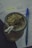 A traditional cup filled with yerba mate, accompanied by a metal straw. Next to it, a blue pen rests on open notebook pages that feature handwritten notes highlighted in neon yellow.