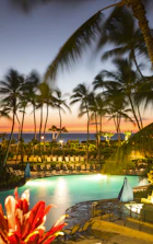 Elegant resort poolside scene with turquoise waters and lush tropical plants at sunset.