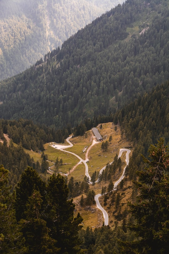 A zigzagging road surrounded by evergreen woods on a hillside in Manghen Pass in Manghen Pass Italy