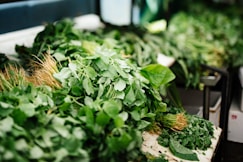 green leafed plants on white tables