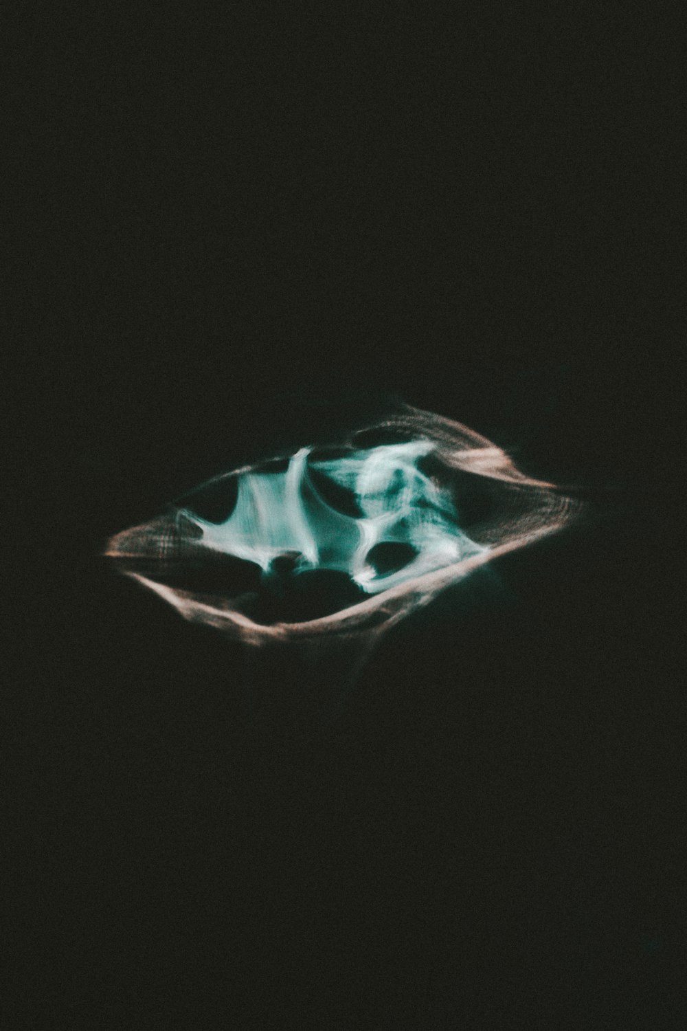 Un'immagine sfocata di una foglia nel buio
