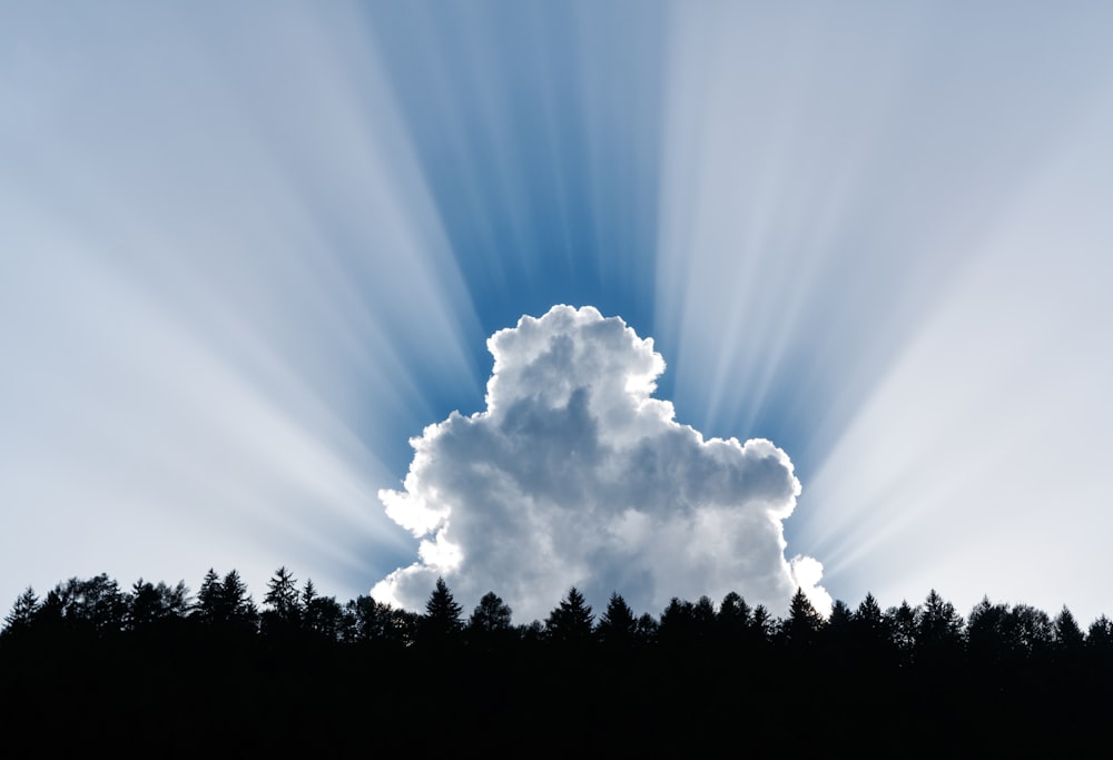 photography of clouds and forest trees