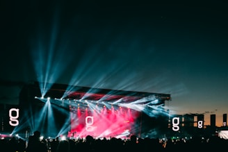 silhouette of people and stage lights during nighttime