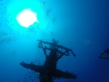 A submerged structure covered with marine life is silhouetted against a vibrant blue ocean. Fish are swimming around the structure, and the sunlight creates a bright area at the surface, casting a serene light through the water.