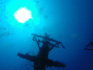 A sleek underwater data center facility glowing softly beneath the deep blue sea, surrounded by marine life.