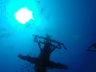 A submerged structure covered with marine life is silhouetted against a vibrant blue ocean. Fish are swimming around the structure, and the sunlight creates a bright area at the surface, casting a serene light through the water.