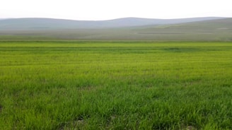 A wide shot of lush green fields stretching out with farm buildings in the distance