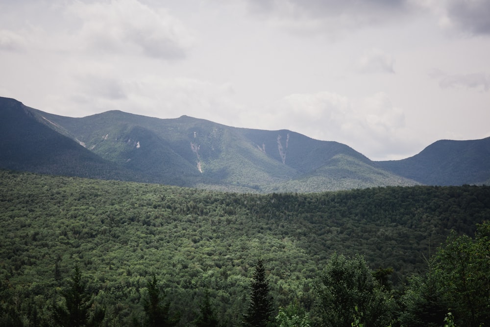 green and black mountains under white and gray sky at daytime