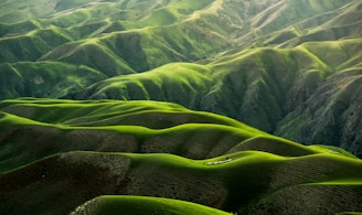 Hills Of Teddylandia