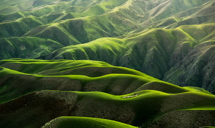 Alam semula jadi kampung