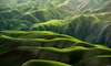 Nature style