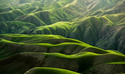 Body Grassland in Yili，Xinjiang，China