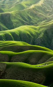 bird's eye view photograph of green mountains