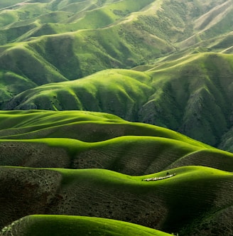 bird's eye view photograph of green mountains