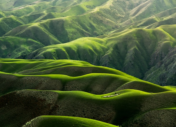 bird's eye view photograph of green mountains