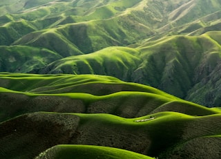 bird's eye view photograph of green mountains