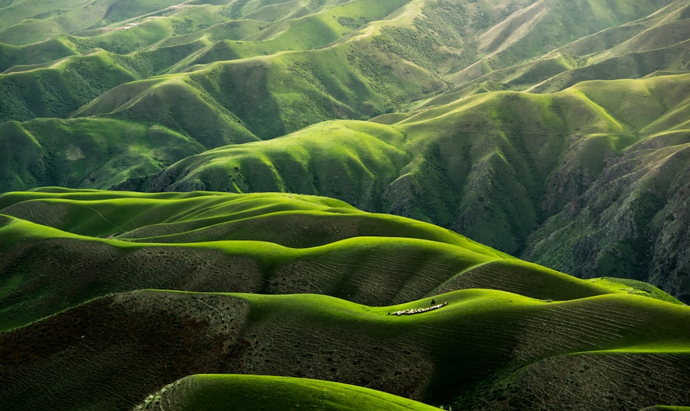 Foto aus der Vogelperspektive der grünen Berge