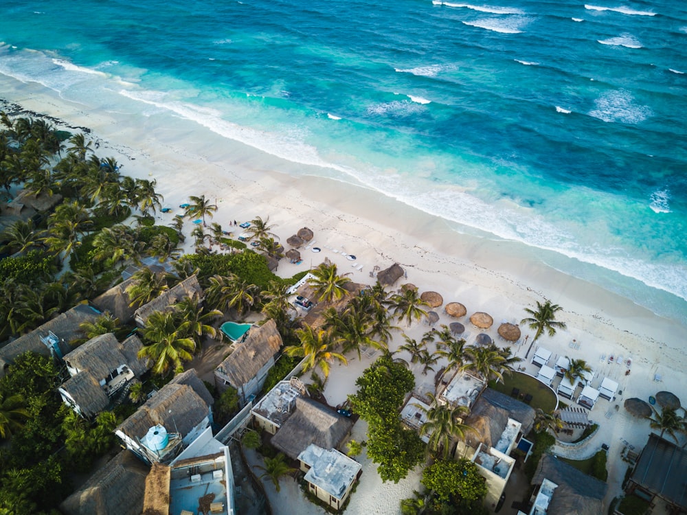 Fotografía aérea de casas cerca del mar