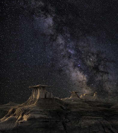 Where the stars will lead...