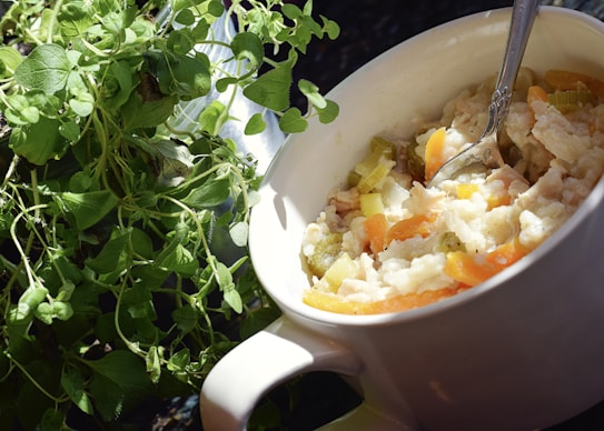 A dish of creamy chicken and vegetable stew is situated next to a fresh bunch of green leafy herbs in a white bowl with a spoon. The vegetables include sliced carrots and celery, adding vibrant colors to the dish.