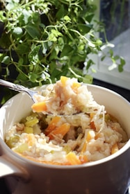 A bowl filled with a hearty vegetable and rice stew is held up by a spoon. Visible ingredients include carrots, celery, and rice, with a background of lush green plants near a window.