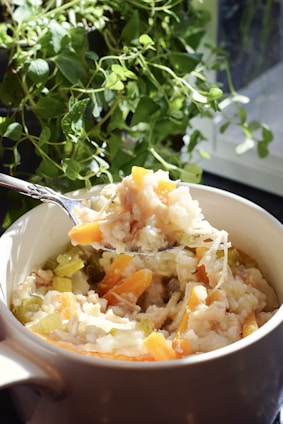 A bowl filled with a hearty vegetable and rice stew is held up by a spoon. Visible ingredients include carrots, celery, and rice, with a background of lush green plants near a window.
