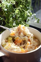A bowl filled with a hearty vegetable and rice stew is held up by a spoon. Visible ingredients include carrots, celery, and rice, with a background of lush green plants near a window.