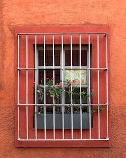 A window with iron bars is set in a textured orange wall. Behind the bars, a small garden box holds green plants with pink flowers. A hand-drawn sign visible through the window has colorful text.