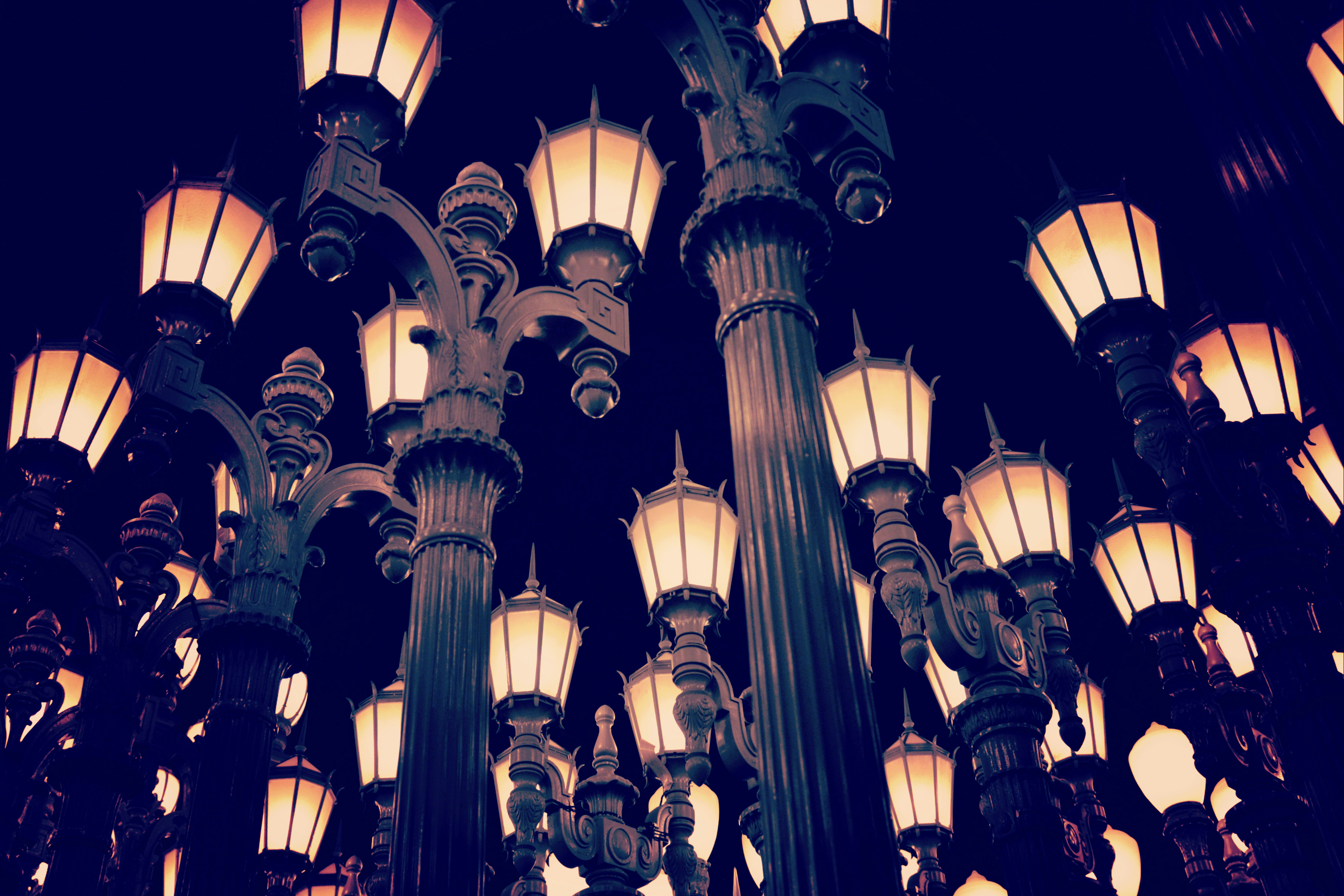 Why Birds Navigate Better Than GPS: The Quantum Compass in Their Eyes