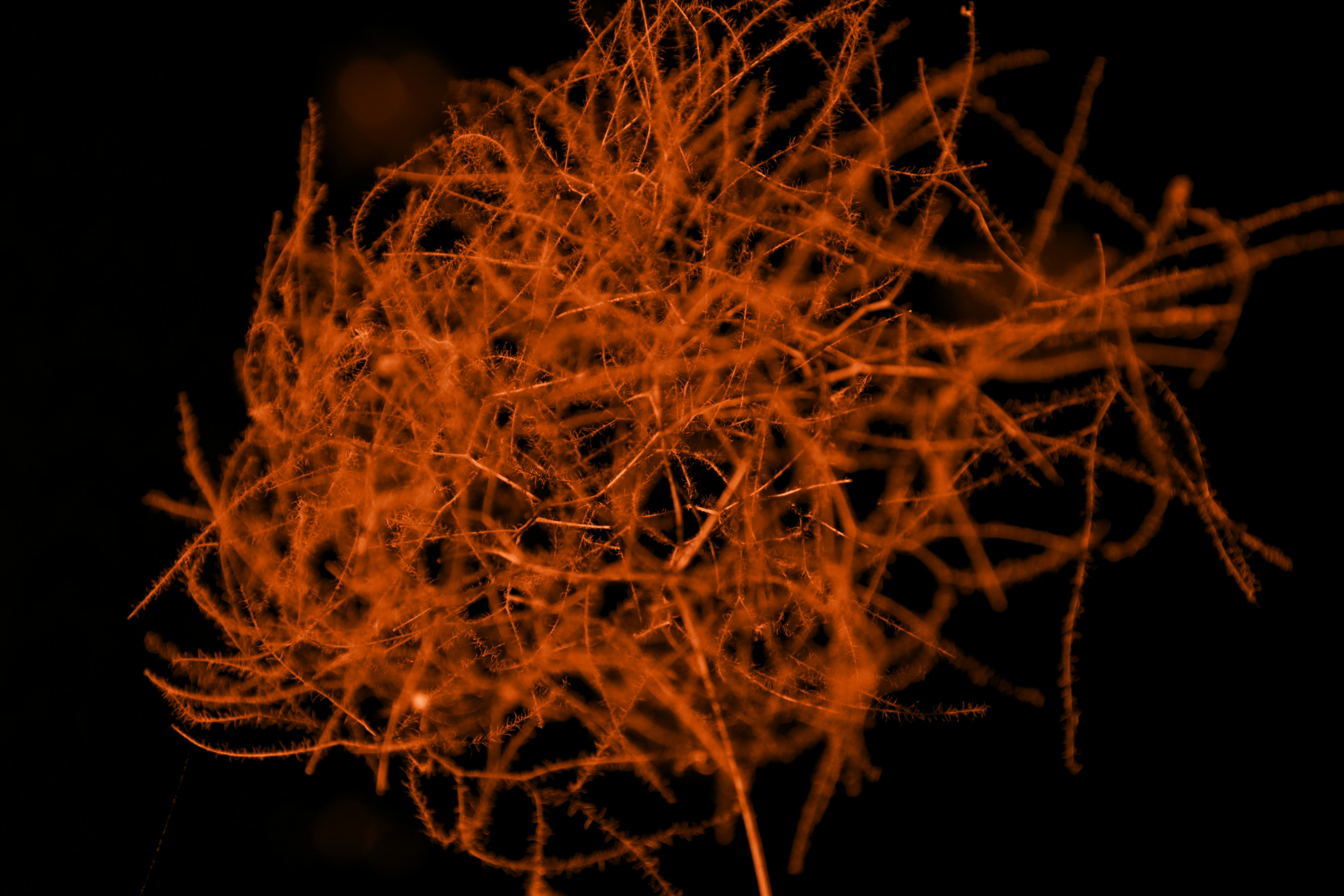 Photo by stephen_hale